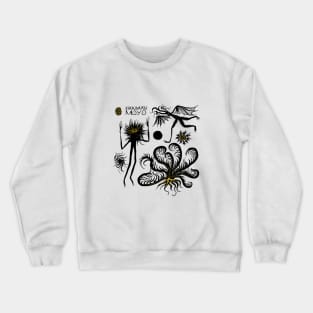 Kikagaku Moyo monsters Crewneck Sweatshirt